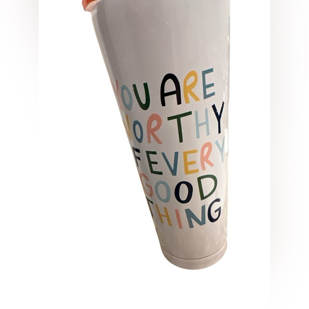 Oh Happy Dani x Target Colorful “ You Are Worthy Of Everything Good” Tumbler - Picture 3 of 4